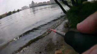 Graphiteleader tiro 7 6 1-12 г