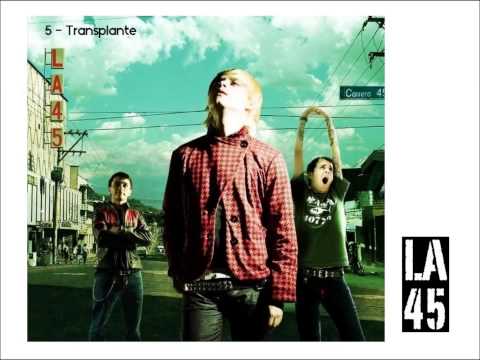 LA 45 (2005) 5 - Transplante