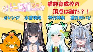 【#雀魂】#harmony  League育成枠猫族コラボの頂点決めてく？！【#猫又めいど】