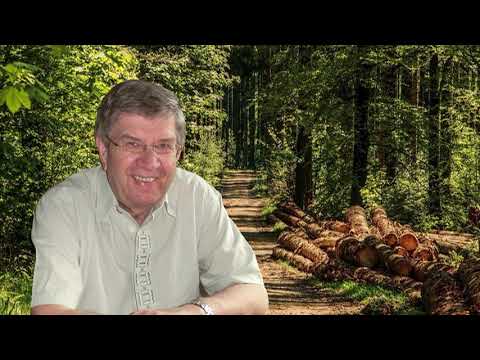 Bosl Hans  -  Der alte Holzknecht