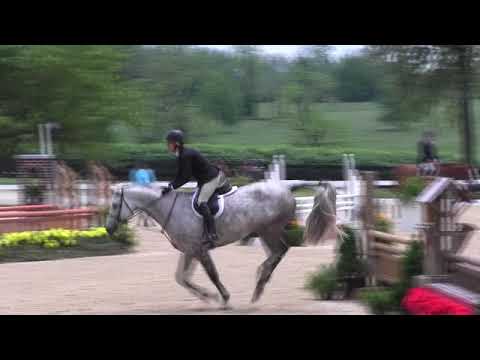 Video of GOLDEN GLOCK WS ridden by SCHUYLER RILEY from ShowNet!