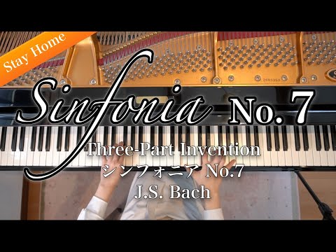 J.S.Bach - Sinfonia No.7 in E Minor, BWV 793, from Three-Part Invention