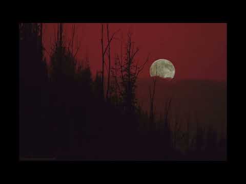 (FREE) ASAP ROCKY x CLAMS CASINO x LIL B CLOUD RAP TYPE BEAT - ABSURD