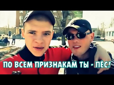 ПО ВСЕМ ПРИЗНАКАМ ТЫ - ПЁС!