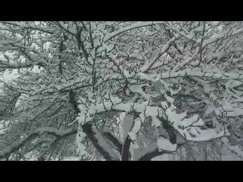 A nins la Manastireni 9 ian