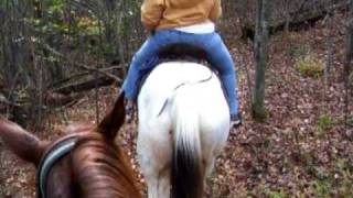 preview picture of video 'Horseback trail rideing adventures.Otter Creek  New York,'