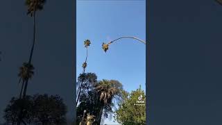 [超危険]いくらならこの仕事やる？