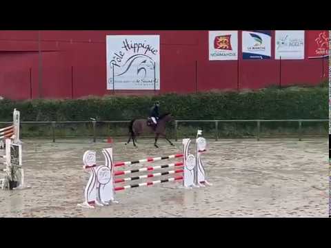 FLY HIGH SEMILLY (Contendro x Quidam de Revel) 5ans / 5YO - mars 2020