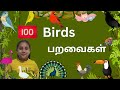 100 பறவைகள் பெயர்கள் Learn 100 Birds Names In Tamil And English For Ki