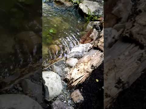 061Video Pond and Waterfalls Built to Last!