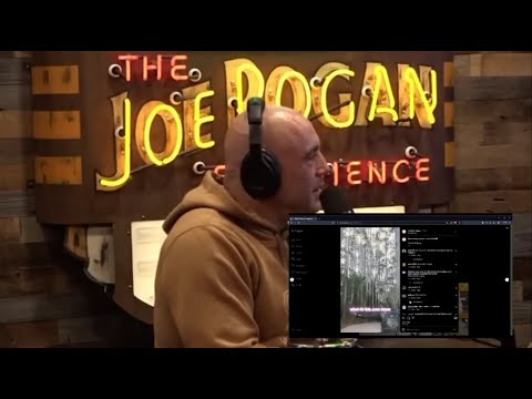 Joe Rogan and Jelly Roll get emotional after watching Instagram reel