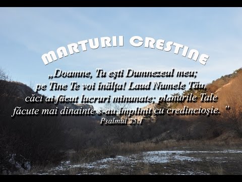 Daniel si Vasilica Anca partea 1