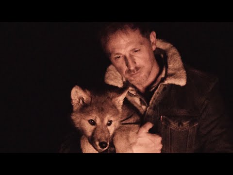 JÃ¶rg Bausch – Wie ein Wolf in der Nacht