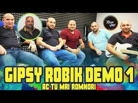 Gipsy Robik Demo 1 AC TU MRI ROMNORI