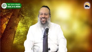 פרשת תזריע-מצורע | ענוה פסולה מול ענוה אמיתית | בטחון עצמי בזוגיות ᴴᴰ