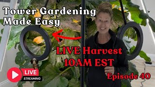 📱 Tower Gardening Made Easy LIVE CAM #towergarden #hydroponicgardening #garden #farm #aeroponic