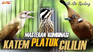 Download lagu KAPAS TEMBAK GACOR VS CILILIN GACOR VS PLATUK mp3 Download lagu KAPAS TEMBAK GACOR VS CILILIN GACOR VS PLATUK mp3