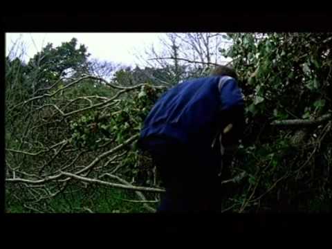 The Braineater - Short Film By Conor McMahon