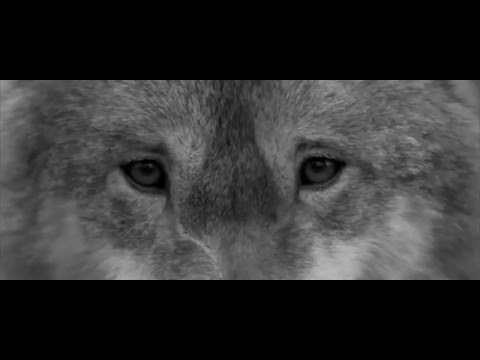 Upercent "Keep Me In My Plane" (OFFICIAL VIDEO) - ENDLESS