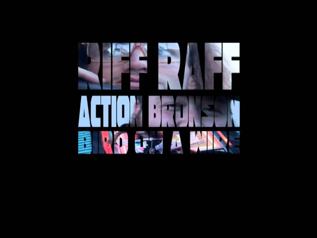 Bird On A Wire Lyrics Action Bronson