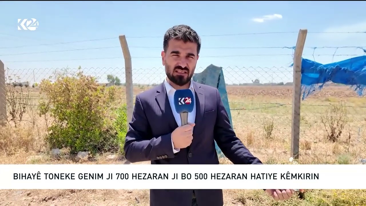 ڤیدیۆ | دابەزاندنی نرخی کڕینەوەی گەنمی دەرەوەی پلان جووتیارانی نیگەران كردووە