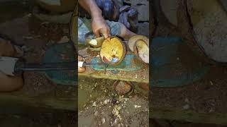 Download lagu Melepas daging kelapa//kopra dengan cara tradisional #petani #petanimuda #coconut #fruit #kelapa mp3