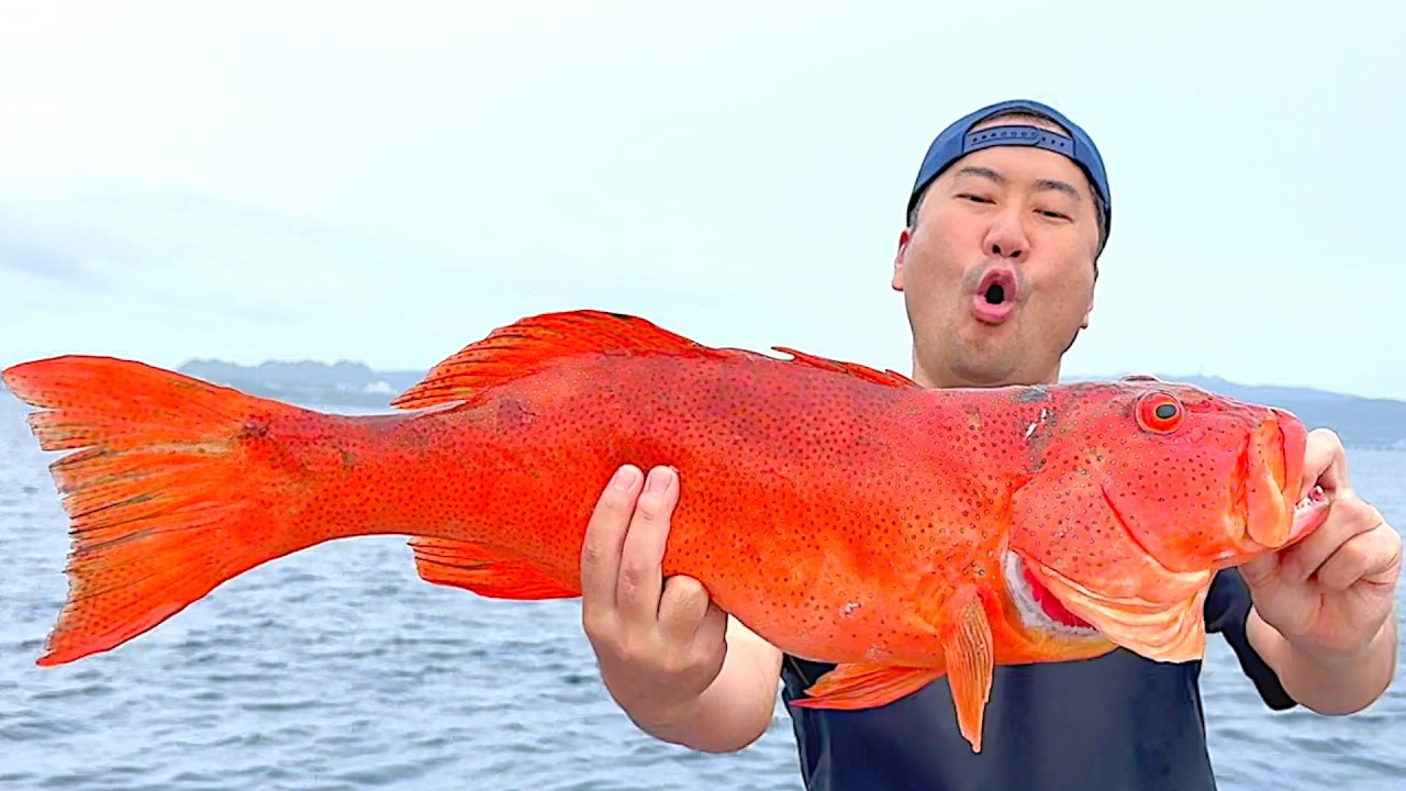 水深40mのサンゴ礁から引っ張り出しました。