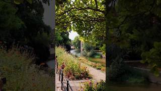 #canterbury #uk #beautifuldestinations #daytrip #カンタベリー #かわいい街