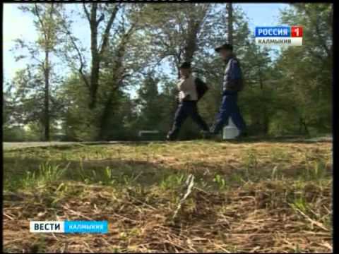 Вести «Калмыкия»: вечерний выпуск 20.05.2015