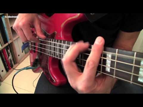 Great Danes TonePrint Collaboration