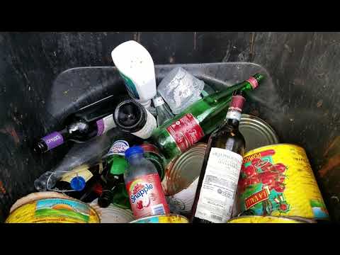 Empty Liquor Bottles Attract Fruit Flies in Rumson, NJ