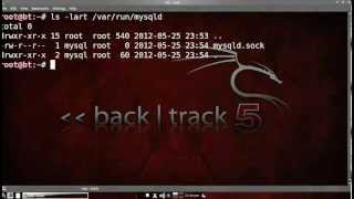 MySQL - ERROR 2002 (HY000): Can&#39;t connect to local MySQL server through socket | BackTrack 5