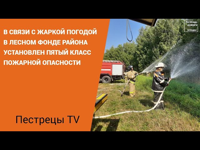 В Пестречинском районе прошли учения по тушению лесного пожара