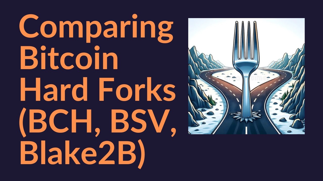 Comparing Bitcoin Hard Forks (BCH, BSV, Blake2B)