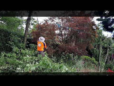 GARDENING QUICK TIP.....moving small branches