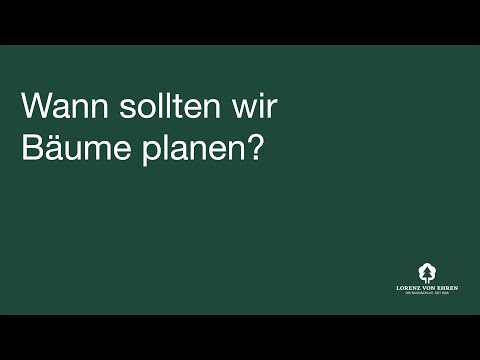 Q&A - Wann sollten wir Bäume planen? Am Beispiel Hamburg/Stephansplatz - Baumschule Lorenz von Ehren