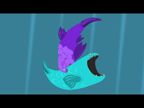 Bloop vs Giant Dunkleosteus | Animation