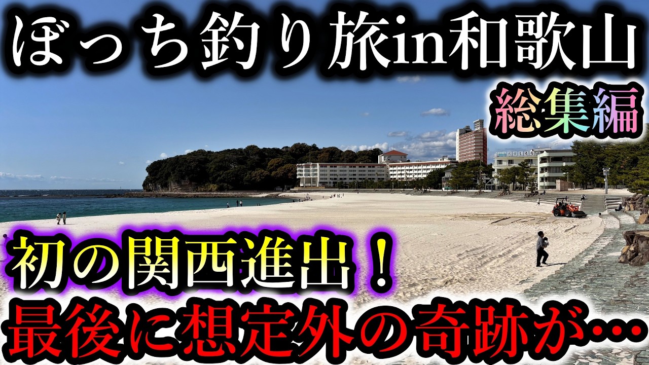 青物爆湧きに最終日の奇跡…初めての関西・和歌山で釣った魚を食べ歩く2泊3日の旅