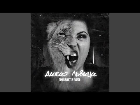 Дикая львица