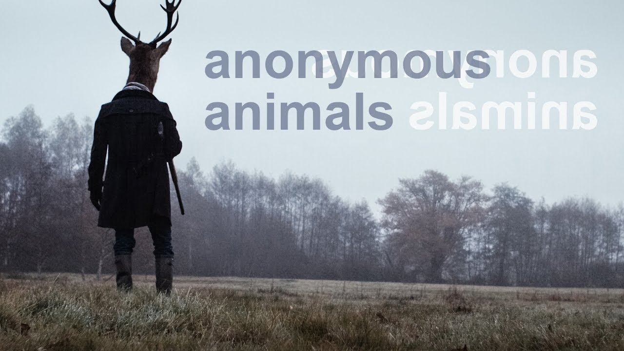 Anonymous Animals | Official Trailer | Horror Brains