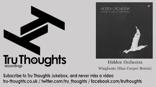 Hidden Orchestra - Wingbeats - Max Cooper Remix