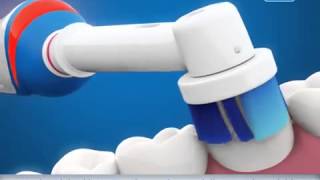 Oral-B Doğru ve Etkin Diş Fırçalama