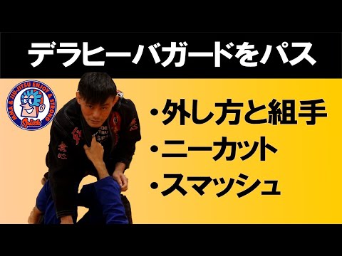 デラヒーバガードをパス　外し方と組手　ニーカット　スマッシュ