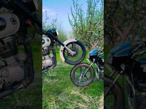 Royal Enfield Vs Hero Splendor//stunt Enfield&splendor#herosplendor  #royalenfield