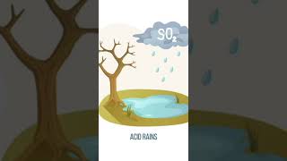 क्या होता है Acid Rain Know about it #acidrain #environment #climatechange
