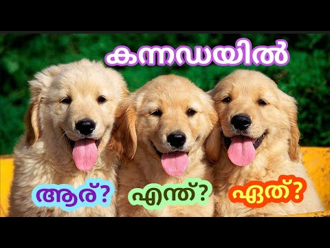 #32: Learn Kannada through Malayalam (Question words - part 3)