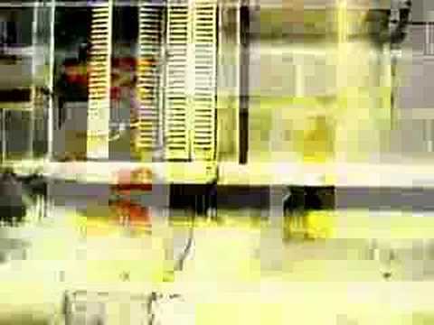 83 bus belgrade - Stevan Lung