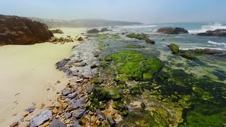 Ep. #6: Alentejo | The McNamara Surf Trip (Legendas PT)