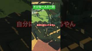 【 #ゼルダの伝説ティアーズオブザキングダム 】ドジな一人と一匹