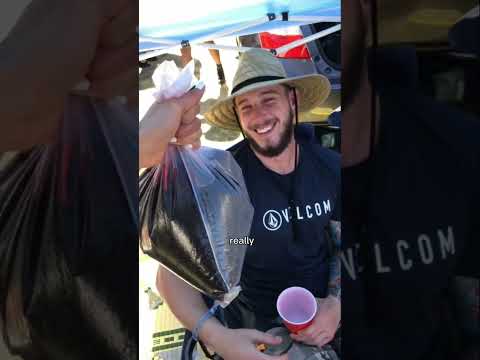 3 Festival Camping tips no one tells you 🤯 part 1 #coachella #coachella2023 #coachellacamping